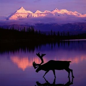 Meet your Posher, Myranda